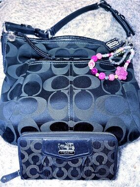 Coach Canvas Zoe Hobo bag and Wallet Set Y2K # 12676 Lurex Canvas Black/Gray EUC